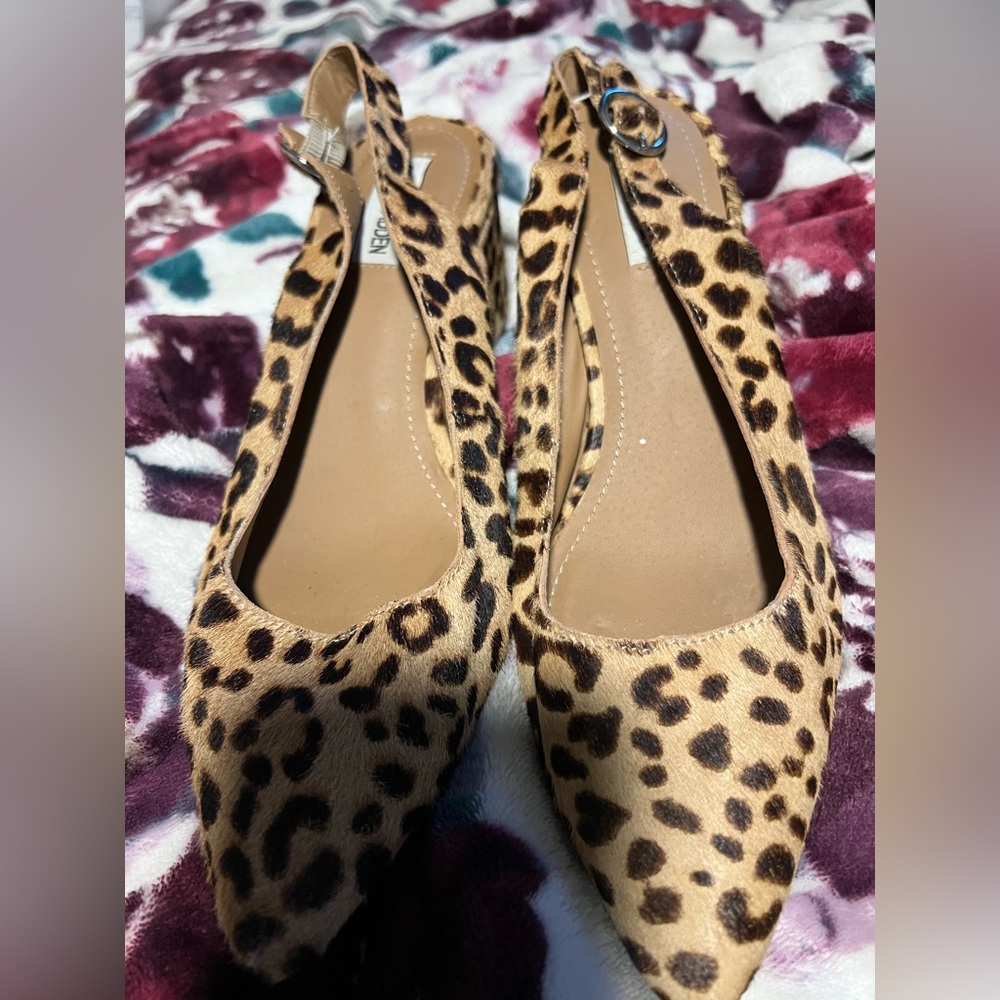 Steve Madden